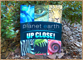Click here for a larger picture of the front, inside & back of the "Planet Earth" book