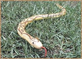 Click here for a larger wooden snake picture