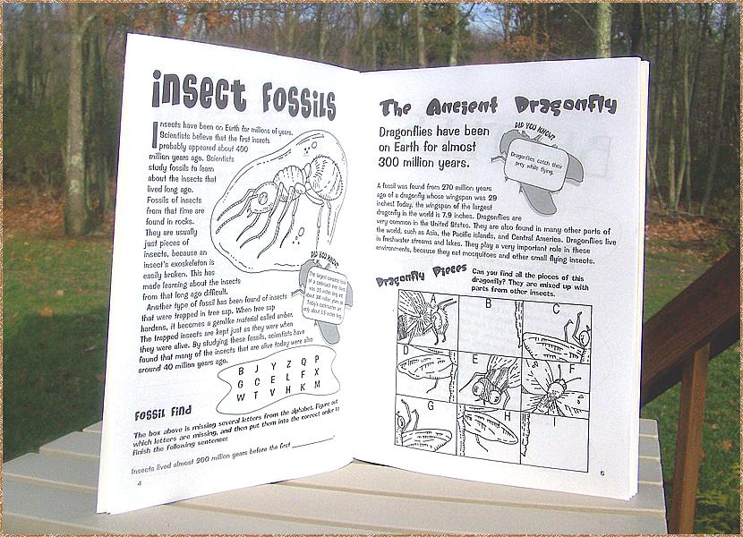 Insect Activity Books The Lizard Guys - insect sticker activity book magazine bug animal ...